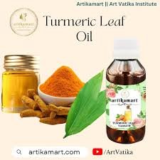 Turmeric Leaf Oil